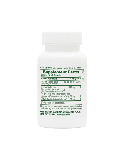 Гинкго Билоба Комбо Комплекс, Ginkgo Biloba Complex, Natures Plus, 60 вегетарианских капсул Гинкго Билоба Комбо Комплекс, Ginkgo Biloba Complex, Natures Plus, 60 вегетарианских капсул
