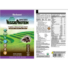 Органический растительный Протеин, Вкус Моккачино, Super Earth, Bluebonnet Nutrition, 8 пакетиков