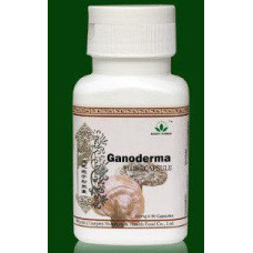 Ганодерма Ganoderma lucidum. Розсмоктування опухолей, органів дихання, відновлення організму