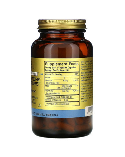 Модулятор Гомоцистеїну, Homocysteine Modulators, Solgar, 120 вегетаріанських капсул