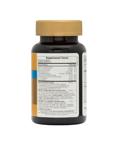 Комплекс Для Поддержки Мозга, AgeLoss Brain Support, Natures Plus, 60 капсул Комплекс Для Поддержки Мозга, AgeLoss Brain Support, Natures Plus, 60 капсул