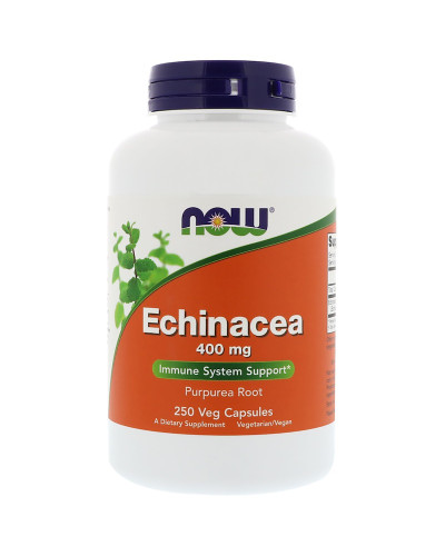 Эхинацея 400мг, Now Foods, Echinacea Purpurea, 250 капсул