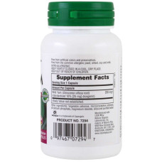Дикий Ямс 250мг, Herbal Actives, Natures Plus, 60 гелевых капсул