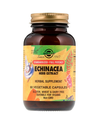 Эхинацея (Экстракт), Echinacea Herb Extract, Solgar, 60 вегетарианских капсул