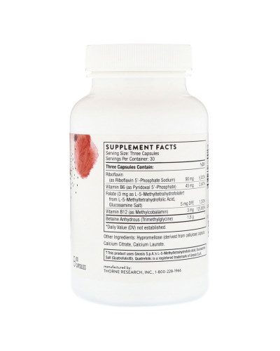 Метил-Гард, Витамины для Мозга, Methyl-Guard Plus, Thorne Research, 90 капсул