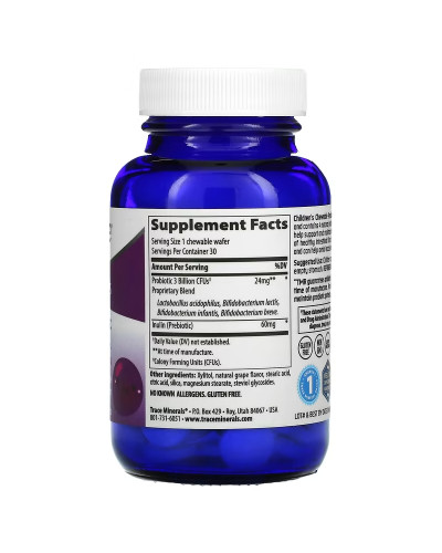 Детский пробиотик, вкус винограда, Children's Chewable Probiotic, Trace Minerals, 30 жевательных таблеток Детский пробиотик, вкус винограда, Children's Chewable Probiotic, Trace Minerals, 30 жевательных таблеток