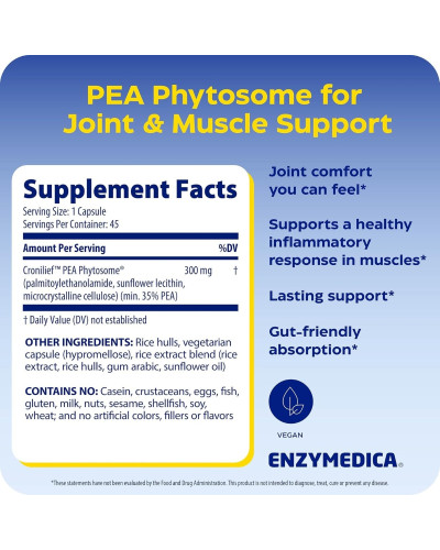 Здоров'я суглобів та м'язів, Joint & Muscle PEA Phytosome, Enzymedica, 45 веганських капсул