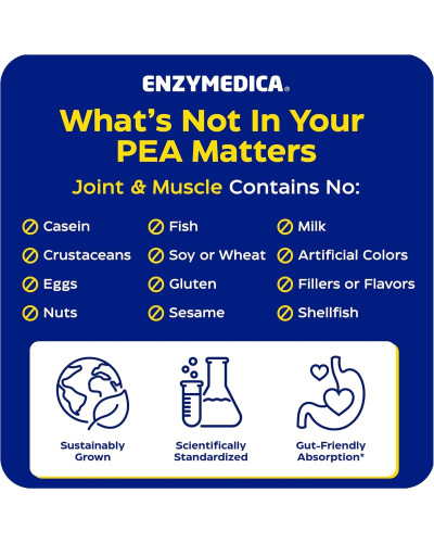 Здоров'я суглобів та м'язів, Joint & Muscle PEA Phytosome, Enzymedica, 45 веганських капсул