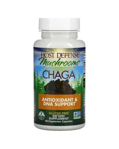 Чага, Chaga, Fungi Perfecti, 60 вегетарианских капсул