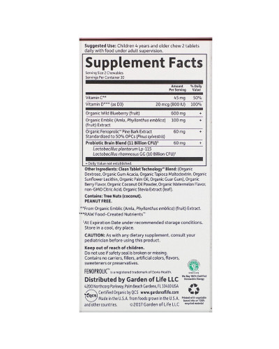 Детский Комплекс Для Внимания и Концентрации, Dr. Formulated Brain Health, Со Вкусом Арбуза, Garden of Life, 60 жевательных таблеток