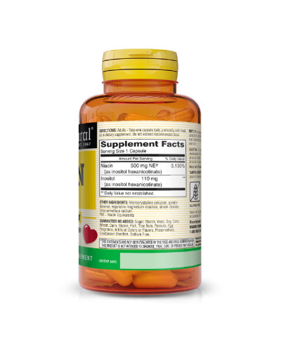 Ніацин 500мг, B3, Niacin Flush Free, Mason Natural, 60 капсул