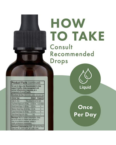 Конопляна олія для собак, Органічний концентрат, Organic Hemp Oil Concentrate for dogs, Dr.