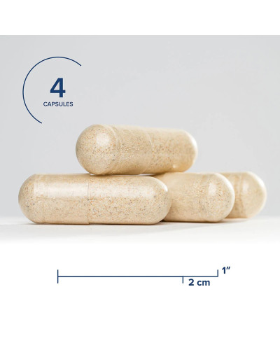 Мультивітамінний комплекс, Multivitamin Sensitive, Seeking Health, 120 вегетаріанських капсул Мультивітамінний комплекс, Multivitamin Sensitive, Seeking Health, 120 вегетаріанських капсул