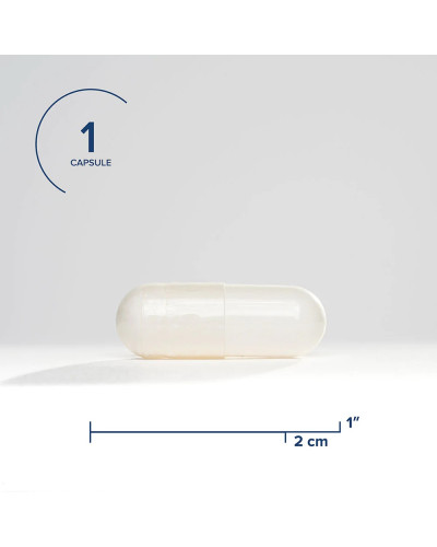 NAC (N-Ацетил-L-Цистеин), 500 мг, N-Acetyl-L-Cysteine, Seeking Health, 90 вегетарианских капсул