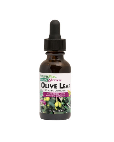 Листья оливы, экстракт в каплях без спирта, Olive Leaf, Natures Plus, 30 мл