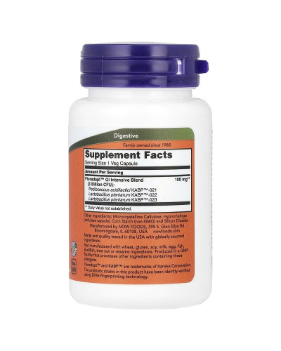 Поддержка бактерий кишечника, Intestinal Bacteria Support, Now Foods, 60 вегетарианских капсул