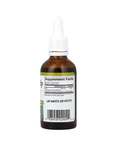 Водорості у краплях, 800 мкг, Liquid Kel, Natural Factors, 50 мл