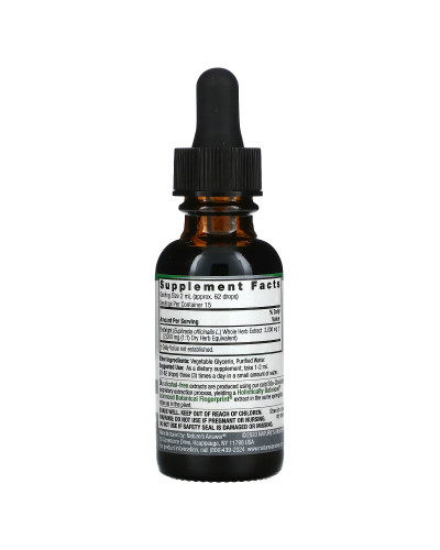 Очанка для глаз, экстракт без спирта, 2000 мг, Eyebright Herb, Fluid Extract, Alcohol-Free, Nature's Answer, 30 мл