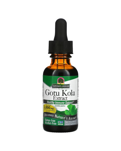Готу кола, Екстракт без спирту, 2000 мг, Gotu Kola Extract, Alcohol-Free, Nature's Answer, 30 мл