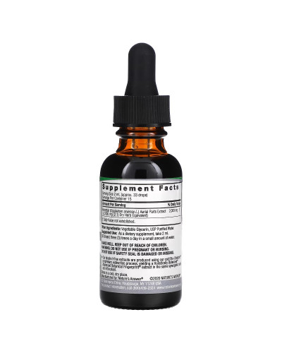 Экстракт хвоща полевого без спирта, 2000 мг, Horsetail Extract, Nature's Answer, 30 мл