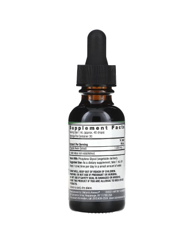 Экстракт прополиса без спирта, 1000 мг, Propolis Extract, Nature's Answer, 30 мл