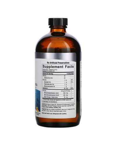 Омега-3 рідка, смак апельсину, Liquid Omega-3, Deep Sea Fish Oil EPA/DHA, Nature's Answer, 480 мл
