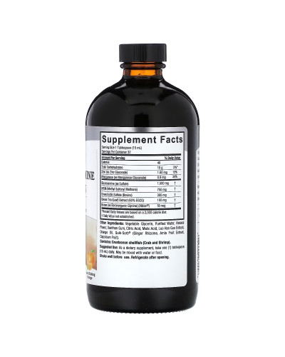 Глюкозамін-хондроїтин рідкий, апельсиновий смак, Liquid Glucosamine Chondroitin, Nature's Answer, 480 мл Глюкозамін-хондроїтин рідкий, апельсиновий смак, Liquid Glucosamine Chondroitin, Nature's Answer, 480 мл