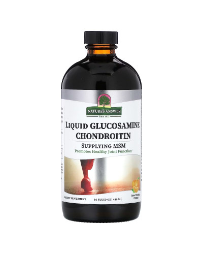 Глюкозамін-хондроїтин рідкий, апельсиновий смак, Liquid Glucosamine Chondroitin, Nature's Answer, 480 мл