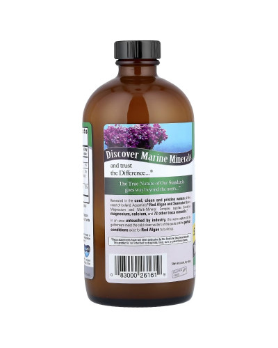 Магній на морській основі, 500 мг, ванлі, Marine Based Magnesium, Nature's Answer, 480 мл