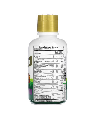 Жидкие Детские Мультивитамины, Тропический вкус, Animal Parade Gold, Natures Plus, 473 мл