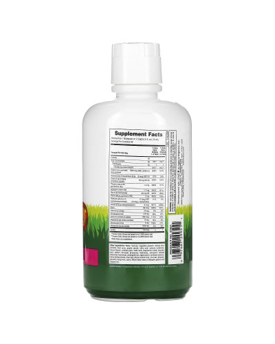 Жидкие Детские Мультивитамины, Тропический вкус, Animal Parade Gold, Natures Plus, 887 мл