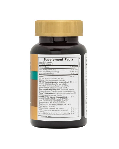 Комплекс для підтримки настрою, AgeLoss Mood Support, Natures Plus, 60 капсул