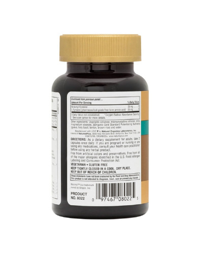 Комплекс для підтримки настрою, AgeLoss Mood Support, Natures Plus, 60 капсул