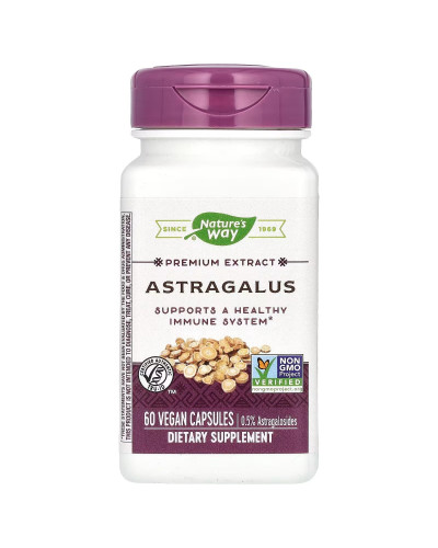Астрагал, премиум экстракт, Astragalus, Premium Extract, Nature's Way, 60 вегетарианских капсул