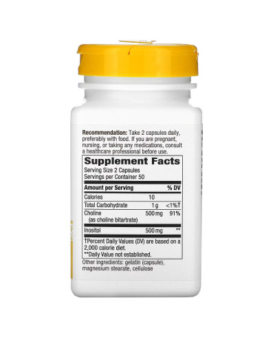 Холін та інозитол, 1000 мг, Choline & Inositol, Nature's Way, 100 капсул