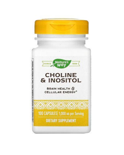 Холін та інозитол, 1000 мг, Choline & Inositol, Nature's Way, 100 капсул