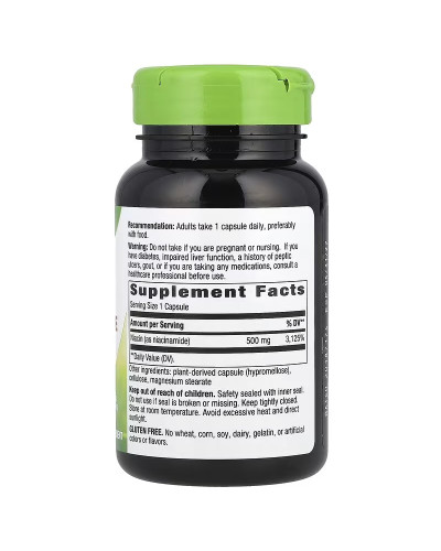 Ніацинамід, 500 мг, Niacinamide, Nature's Way, 100 капсул