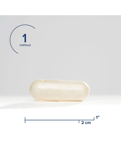 Комплекс пробиотиков, 10 млрд КОЕ, ProBiota HistaminX, Seeking Health, 60 вегетарианских капсул