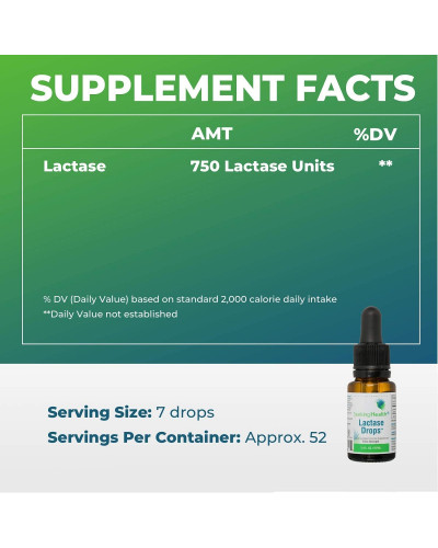 Лактаза в каплях, Lactase Drops, Seeking Health, 15 мл Лактаза в каплях, Lactase Drops, Seeking Health, 15 мл