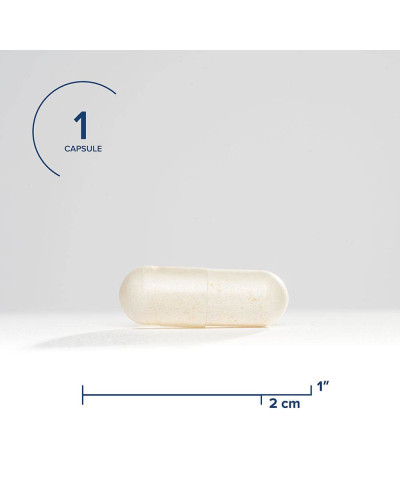 Пробіотики, 12 млрд КУО, ProBiota Bifido, Seeking Health, 60 вегетаріанських капсул Пробіотики, 12 млрд КУО, ProBiota Bifido, Seeking Health, 60 вегетаріанських капсул