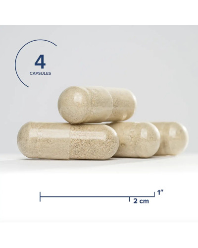 Поживні речовини для жовчного міхура, Gallbladder Nutrients, Supports Bile Production & Flow, Seeking Health, 120 вегетаріанських капсул