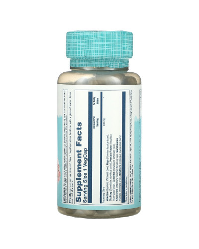 Здоровий сон, суміш трав SP-17, Sleep Blend SP-17, Solaray, 100 вегетаріанських капсул