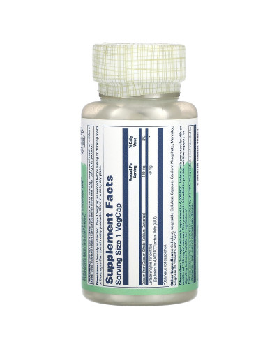 Лактаза, 40 мг, Lactase, Solaray, 100 вегетаріанських капсул Лактаза, 40 мг, Lactase, Solaray, 100 вегетаріанських капсул