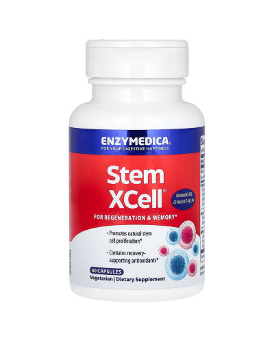 Ферменты для работы мозга, Stem XCell, Enzymedica, 60 капсул